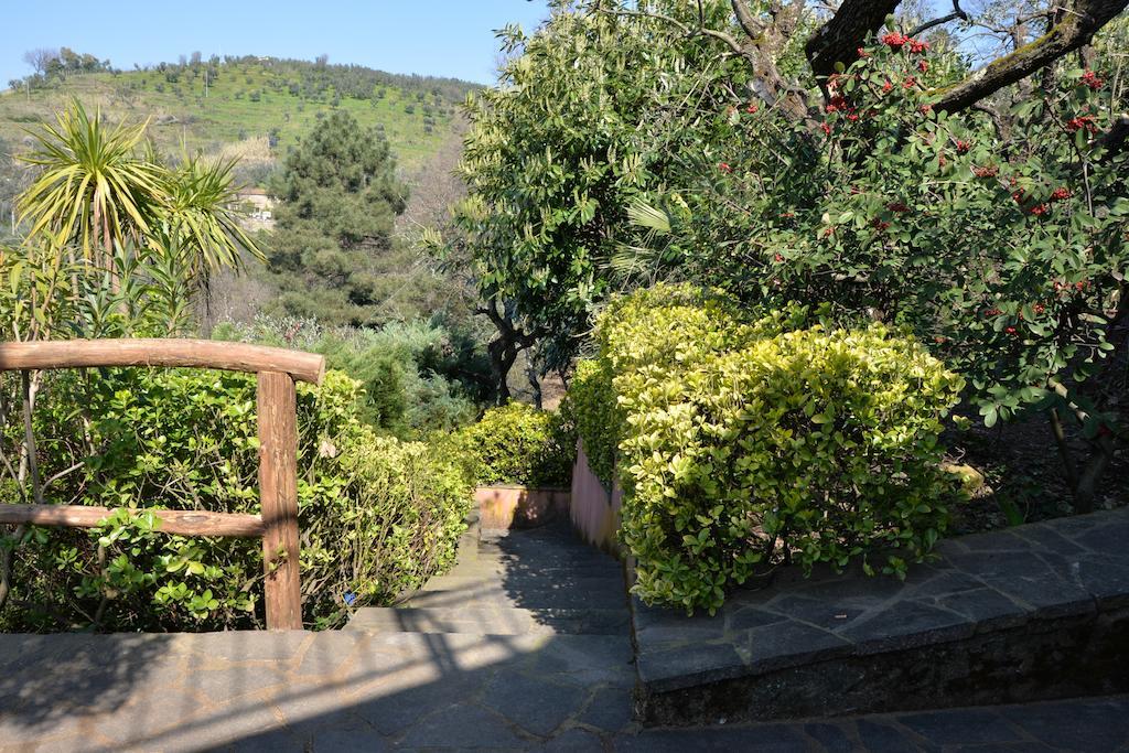 Agriturismo Campofiorito Monsummano Terme Dış mekan fotoğraf
