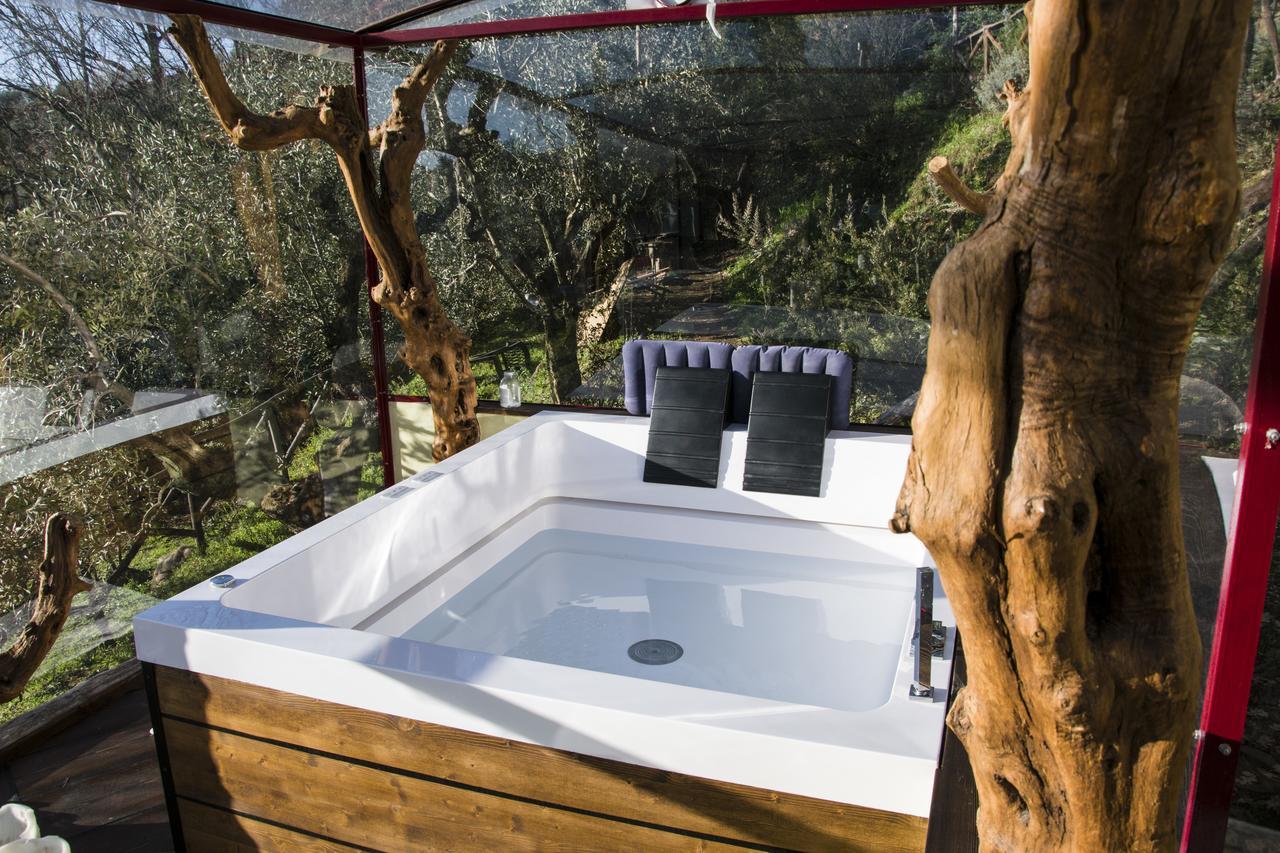 Agriturismo Campofiorito Monsummano Terme Dış mekan fotoğraf